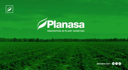 Personal feminin pentru planta de iarna in Spania