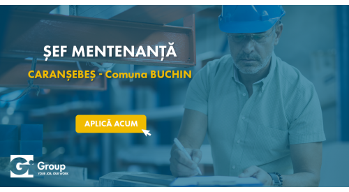 Sef mentenanta