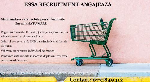 Merchandiser