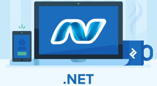 .NET Core Developer