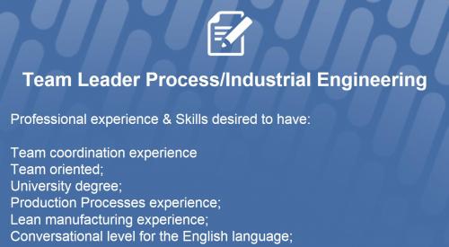 Team Leader Process