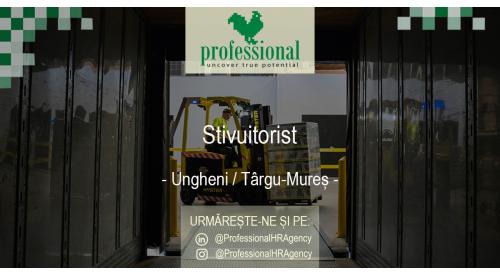 Stivuitorist