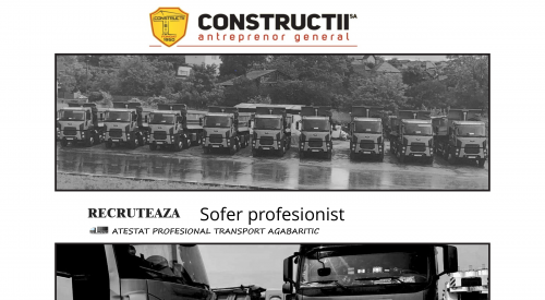 Sofer profesionist