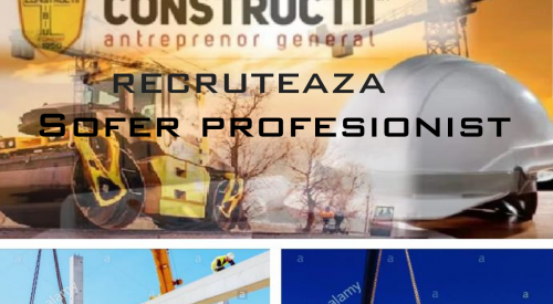 Sofer profesionist