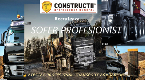 Sofer profesionist